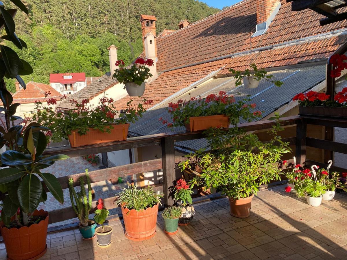 Victoria Gasthaus Rasnov - Charming Vacation House In Rasnov Екстер'єр фото